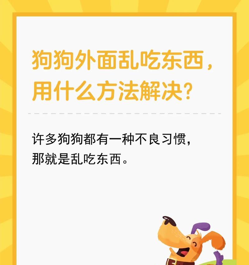 纠正狗狗乱吃东西习惯的实用方法