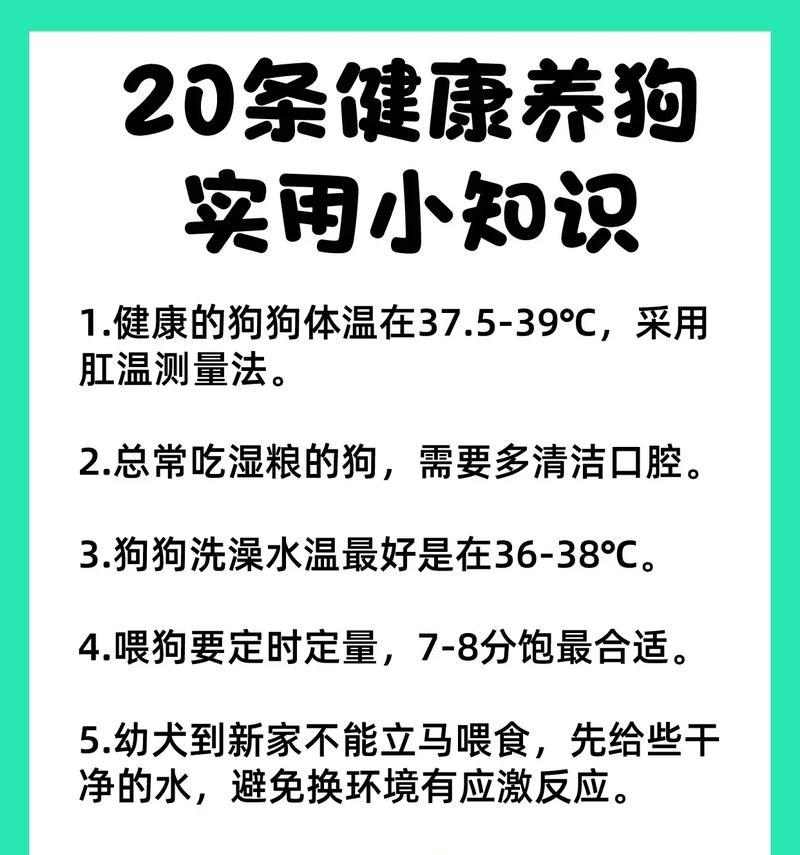 狗狗吃便便纠正方法及健康建议