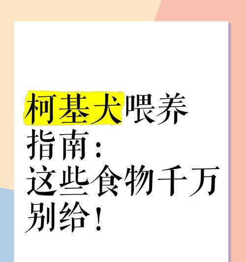 纠正狗狗乱吃东西习惯的有效方法与训练技巧