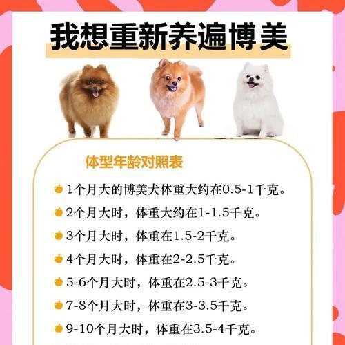 博美犬泪痕问题：解决方法与优化狗粮选择