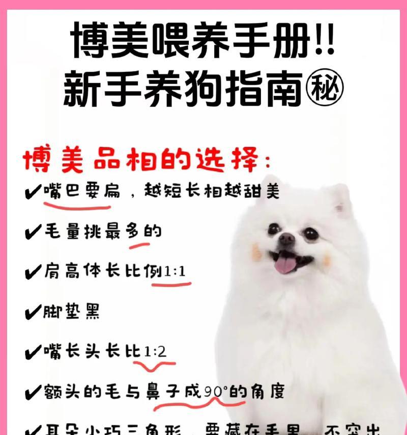 博美犬泪痕问题：解决方法与优化狗粮选择