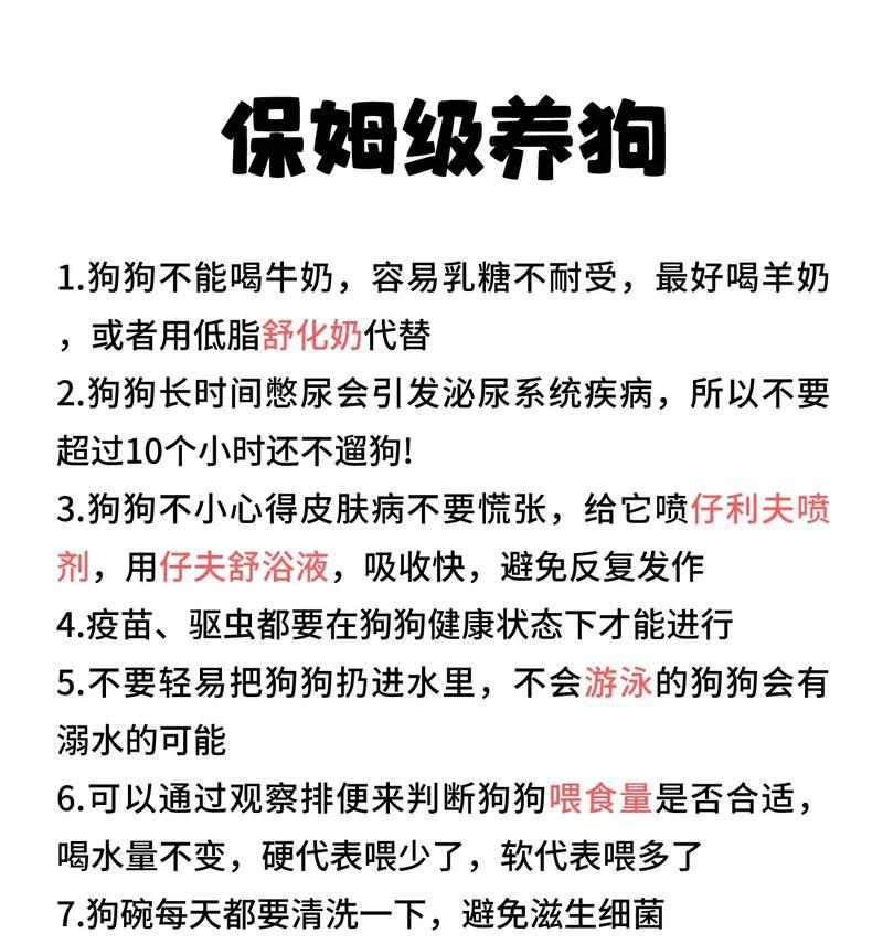 如何预防和治疗狗糖尿病：科学指南与实用建议
