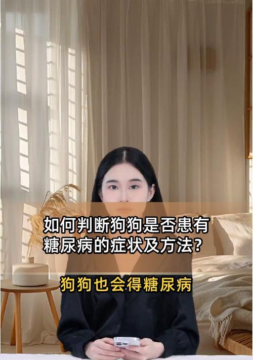 如何预防和治疗狗糖尿病：科学指南与实用建议