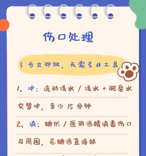 猫咪咬伤应急处理要点与医疗指南：安全护理方法