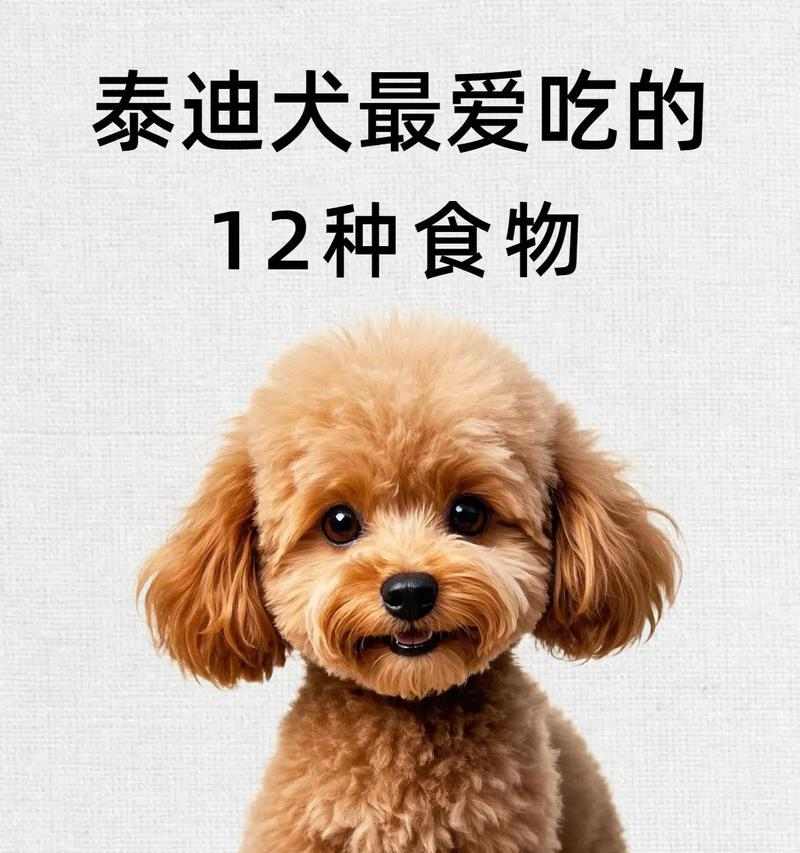 泰迪犬吃葡萄中毒风险及防护要点