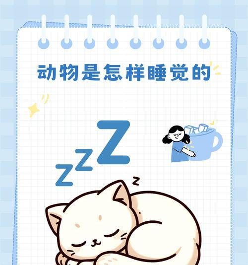 猫咪不上沙发睡觉的实用解决方案
