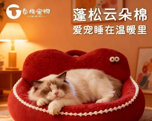 猫咪不上沙发睡觉的实用解决方案