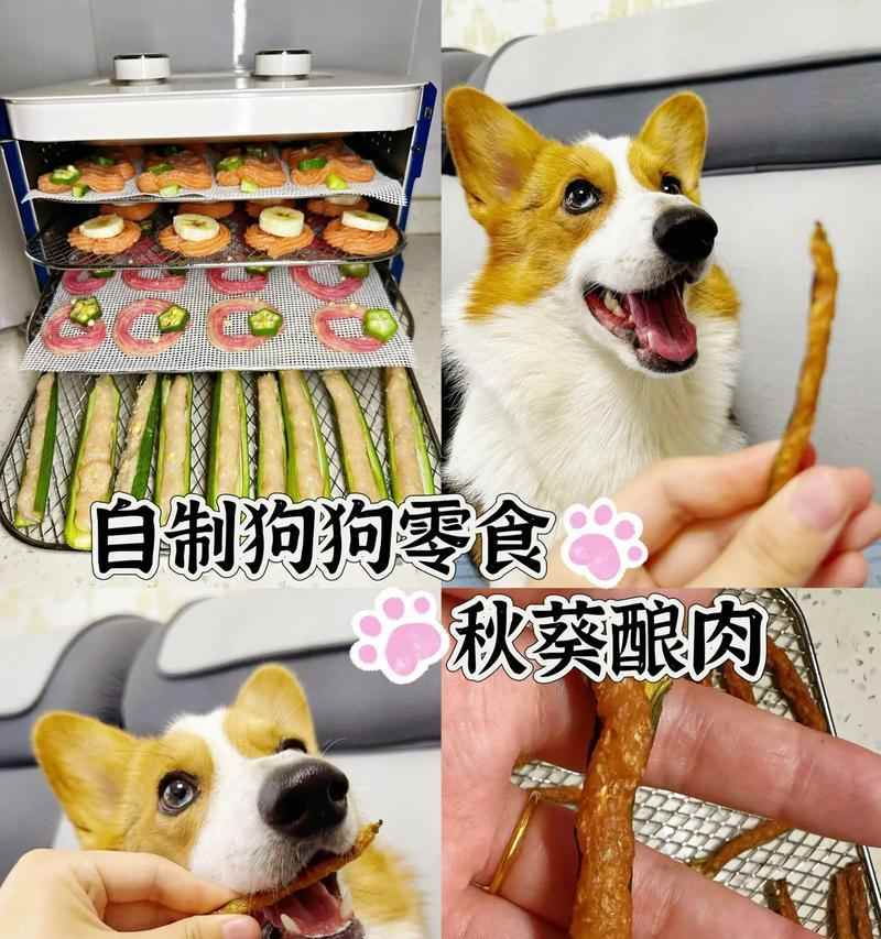 狗狗羊奶奶酪自制方法：营养配方及注意事项