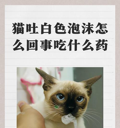 猫咪驱虫药呕吐如何处理