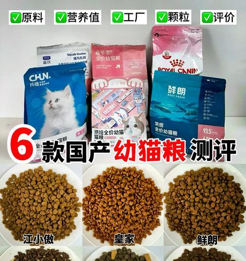 幼猫健康成长的关键：营养均衡猫粮优选