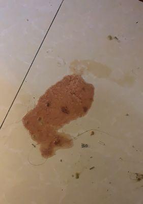 狗狗空腹呕吐咖啡色液体的原因及应对指南