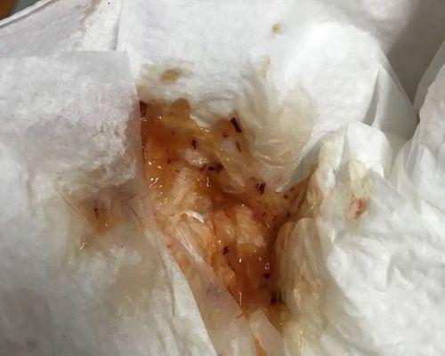 狗狗空腹呕吐咖啡色液体的原因及应对指南