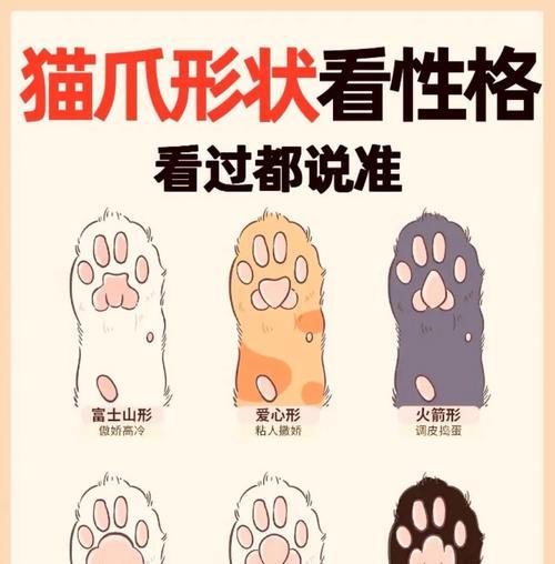 猫为何总喜欢咬自己的脚趾头？（探究猫咬脚趾的原因及解决方法）