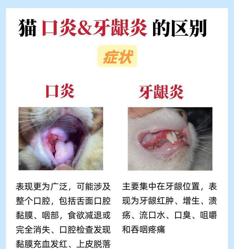 猫为何总喜欢咬自己的脚趾头？（探究猫咬脚趾的原因及解决方法）