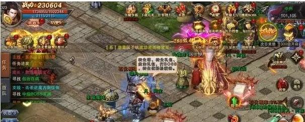 养护知识
