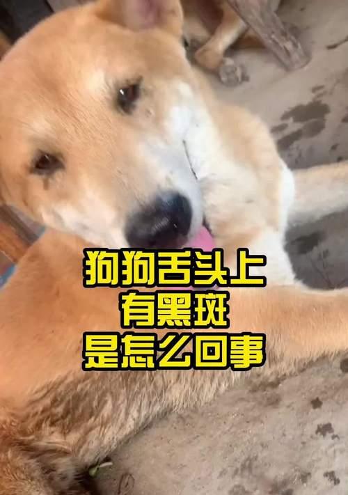 养护知识