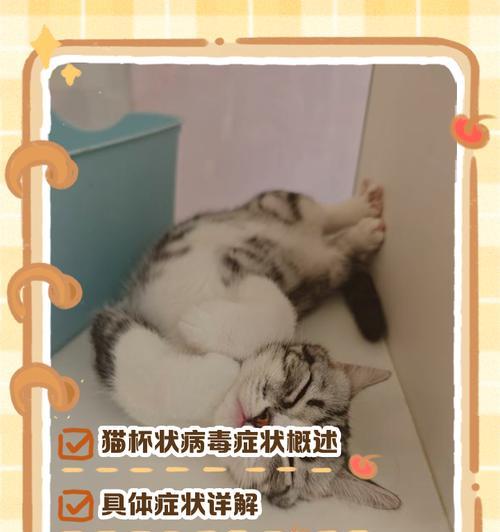 猫疱疹病毒弱阳性的含义与影响（了解猫疱疹病毒的弱阳性测试结果和相关预防措施）