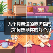 九个月泰迪健康护理全攻略
