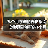 九个月泰迪健康护理全攻略