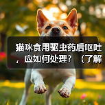 猫咪驱虫后呕吐怎么办处理方法与注意事项全攻略