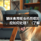 猫咪驱虫后呕吐怎么办处理方法与注意事项全攻略