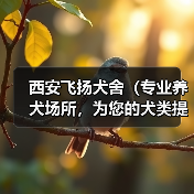 专业养犬场所全方位关爱宠物服务全攻略