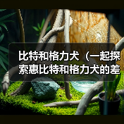 惠比特与格力犬对比分析｜选狗全攻略