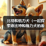 惠比特与格力犬对比分析｜选狗全攻略