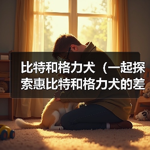 惠比特与格力犬对比分析｜选狗全攻略