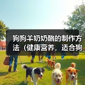 狗狗羊奶奶酪制作教程｜营养喂食全攻略