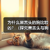 黑舌头狗是否凶猛性格影响因素全解析|性格养成实用指南 黑舌头狗是否凶猛性格影响因素全解析|性格养成实用指南