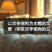 灵宇细狗聪明机敏伴侣犬种全攻略 灵宇细狗聪明机敏伴侣犬种全攻略