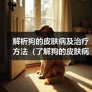 狗皮肤病护理与治疗全攻略