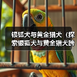 银狐犬最佳配对犬种全攻略 银狐犬最佳配对犬种全攻略