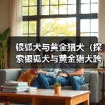 银狐犬最佳配对犬种全攻略 银狐犬最佳配对犬种全攻略