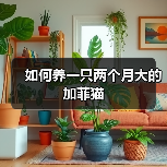 加菲猫科学养育指南全攻略 加菲猫科学养育指南全攻略