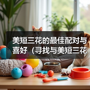 美短三花最佳伴侣猫种推荐搭配全攻略 美短三花最佳伴侣猫种推荐搭配全攻略