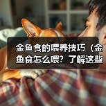金鱼食喂养指南:健康成长全攻略 金鱼食喂养指南:健康成长全攻略