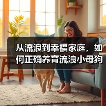 救助流浪小母狗指南|打造幸福家园全攻略 救助流浪小母狗指南|打造幸福家园全攻略