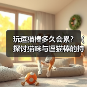 逗猫棒游戏时间控制与猫咪健康益处全攻略 逗猫棒游戏时间控制与猫咪健康益处全攻略