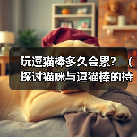 逗猫棒游戏时间控制与猫咪健康益处全攻略 逗猫棒游戏时间控制与猫咪健康益处全攻略