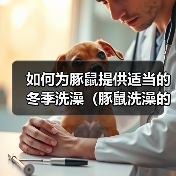 豚鼠冬季洗澡技巧｜温暖环境与防寒指南全攻略