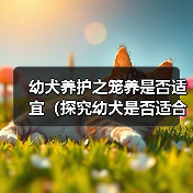 幼犬长期关笼是否合适？科学养护全攻略