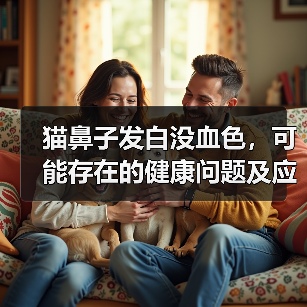 猫鼻子发白原因及应对方法全攻略