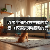 灵宇细狗聪明适应力强的伴侣犬种解析全攻略