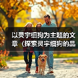 灵宇细狗聪明适应力强的伴侣犬种解析全攻略