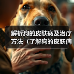 狗皮肤病治疗方法与健康护理全解析|实用指南 狗皮肤病治疗方法与健康护理全解析|实用指南