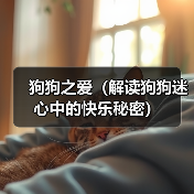 狗狗之爱与心理愉悦的深层关联｜情感价值全解析