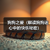 狗狗之爱与心理愉悦的深层关联｜情感价值全解析