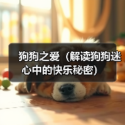 狗狗之爱与心理愉悦的深层关联｜情感价值全解析
